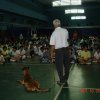 Murid-murid Sekolah Rendah Peng Bin, Bukit Tengah mendengar pertunjukan penjagaan anjing pada 10-10-2009